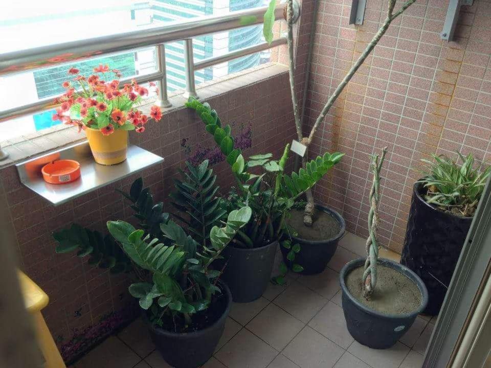Jia Jia House Apartamento Kaohsiung Exterior foto